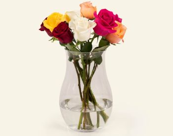 Rainbow Bouquet Natural